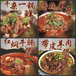 東莞伊食康清真食品公司 為河南優質牛羊肉代言