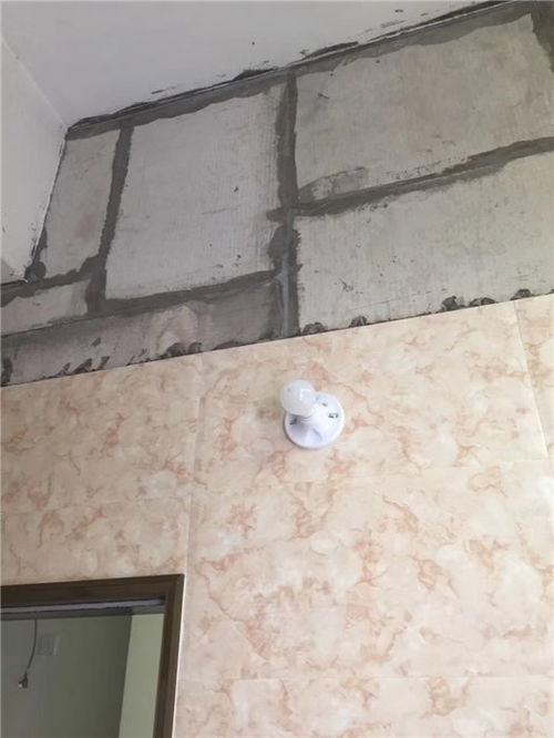 廈門加氣混凝土砌塊設備與鋁單板行業 聚焦特占公司的多元發展